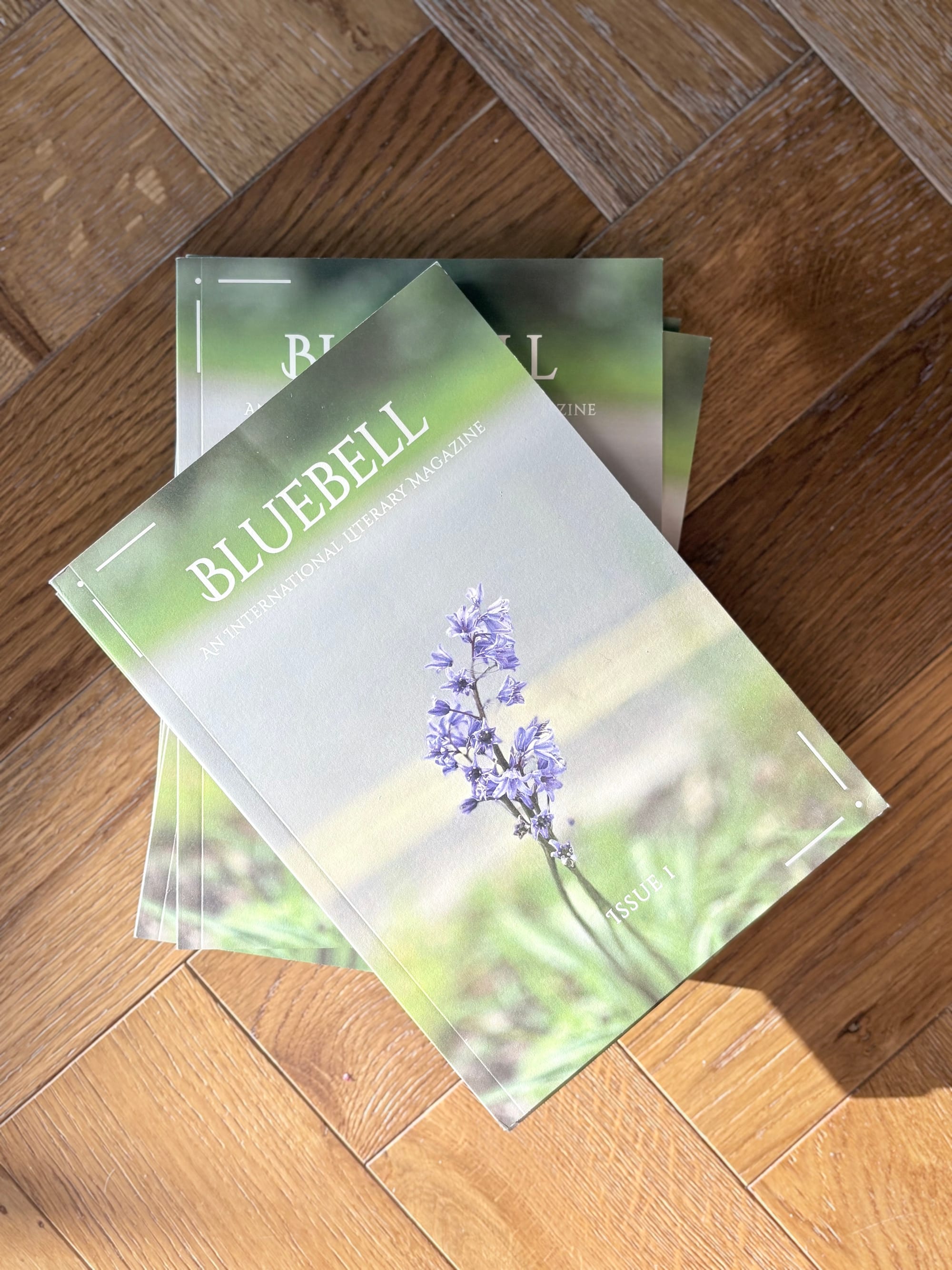 Bluebell Book Launch @ Hackney, London on 27 July